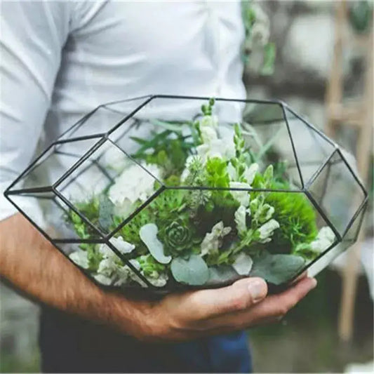 Modern Glass Plant Container