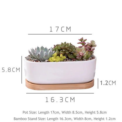 Succulent Pot Set