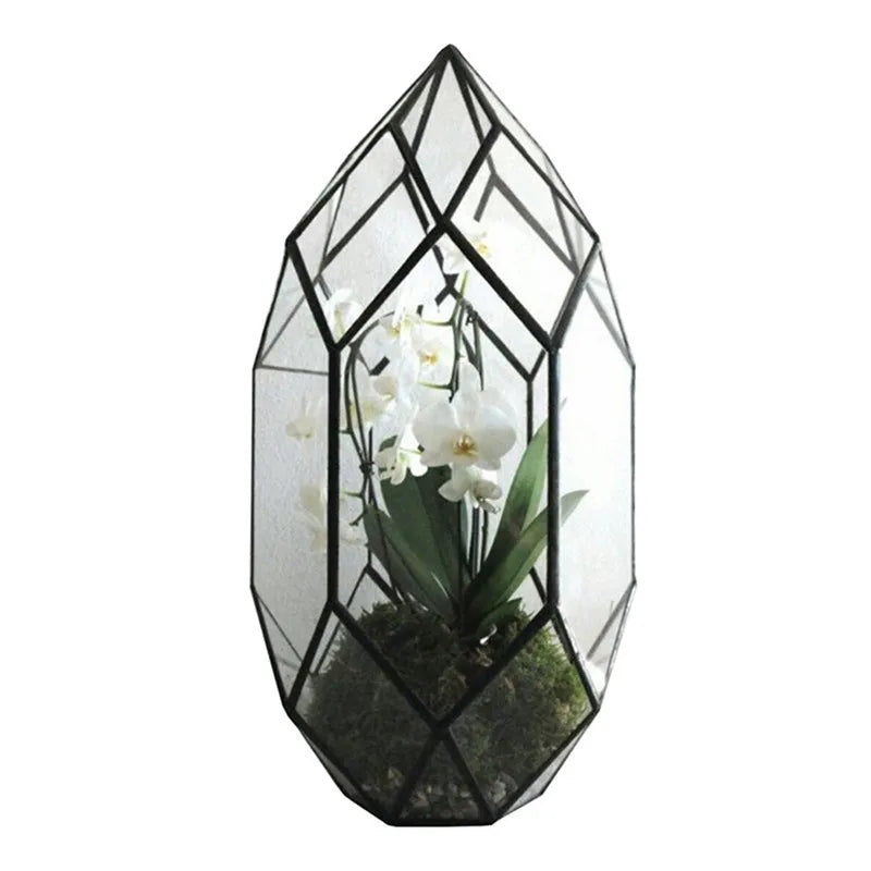 Modern Glass Plant Container
